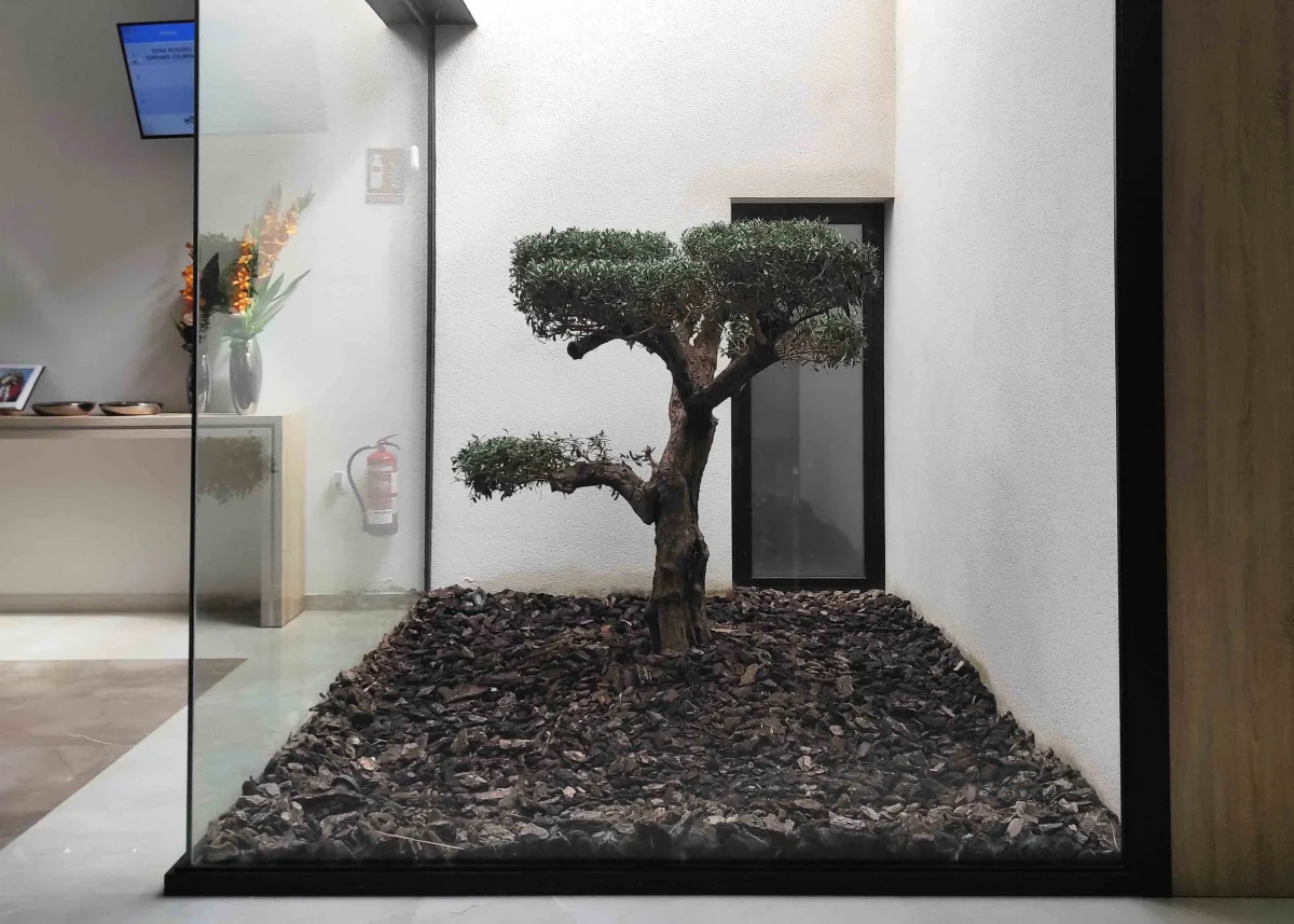 Velatorio Miguelturra, imagen del proyecto, vista 2